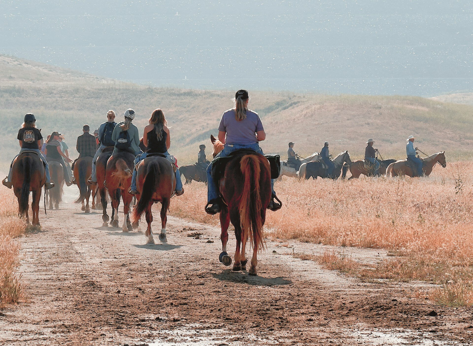 The Impact of Indexic's Software on Arizona Horseback Adventures