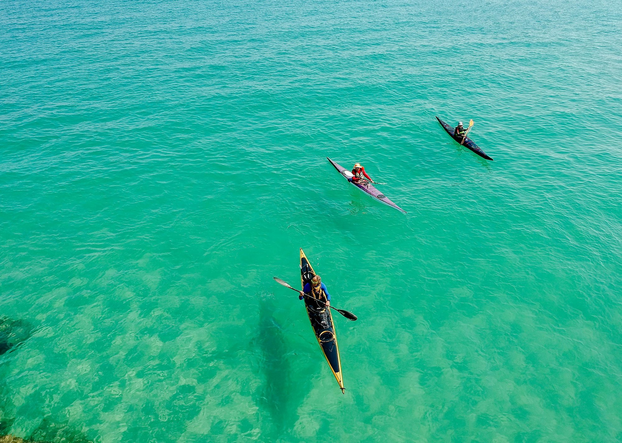 Get Ready for Spring Break with QR Codes: A Guide for Tour Operators